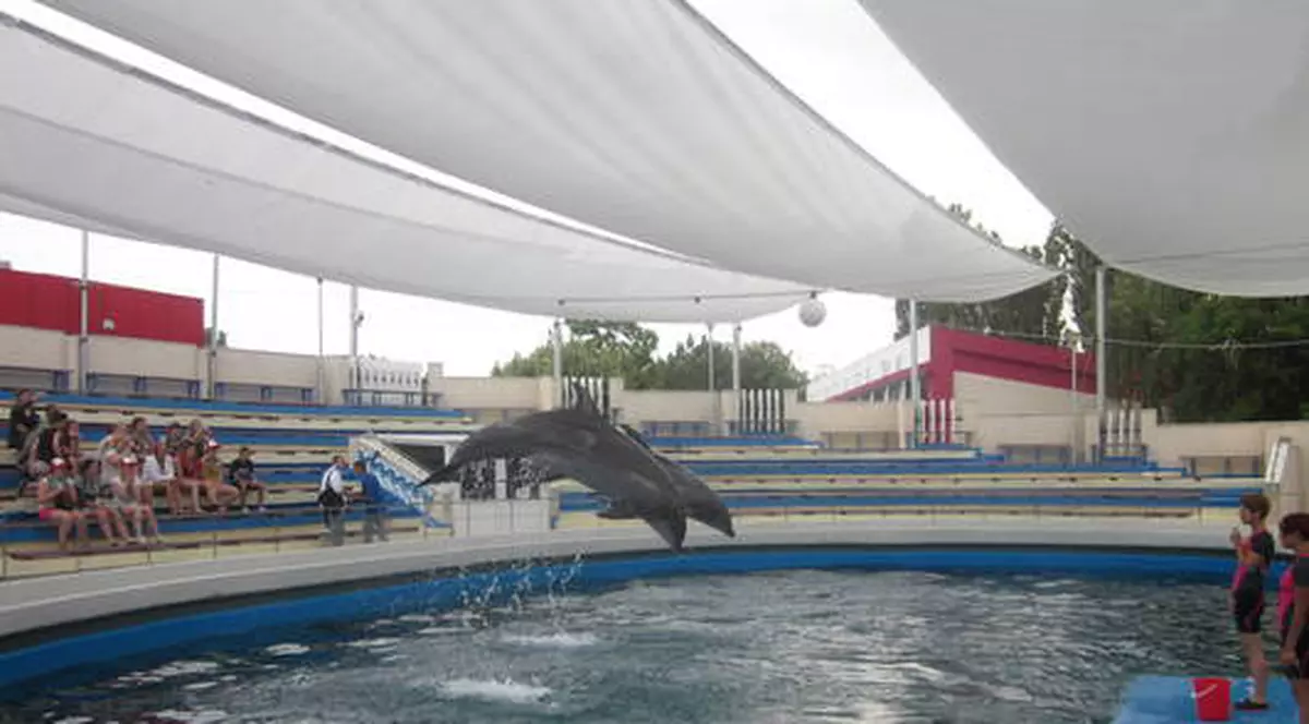 EŞTI LA MARE? Uite ce poţi câştiga miercuri seara!