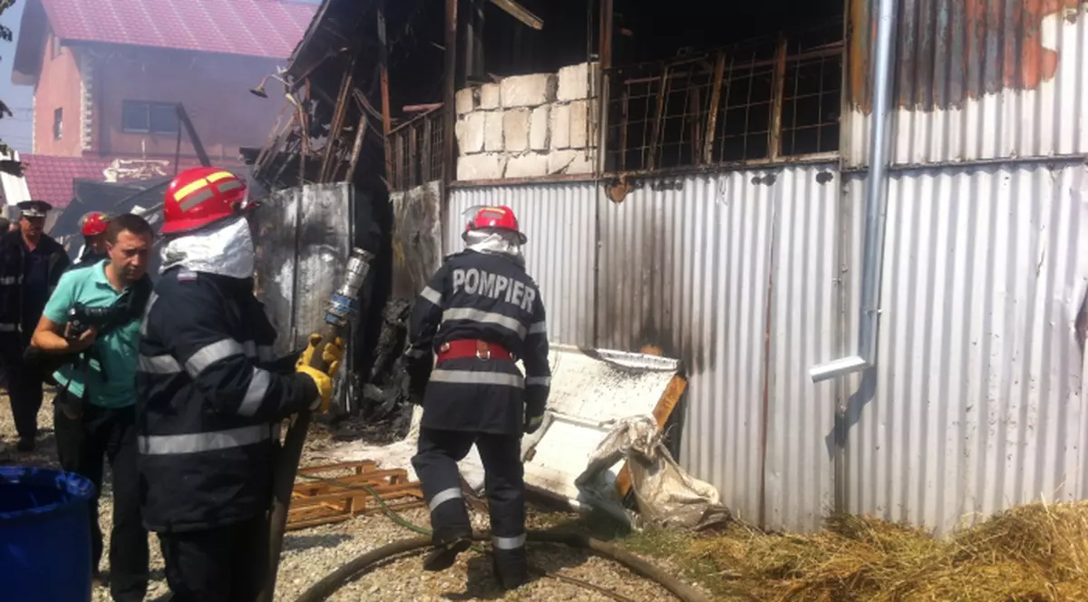 O fermă de animale exotice s-a facut scrum în Prahova!