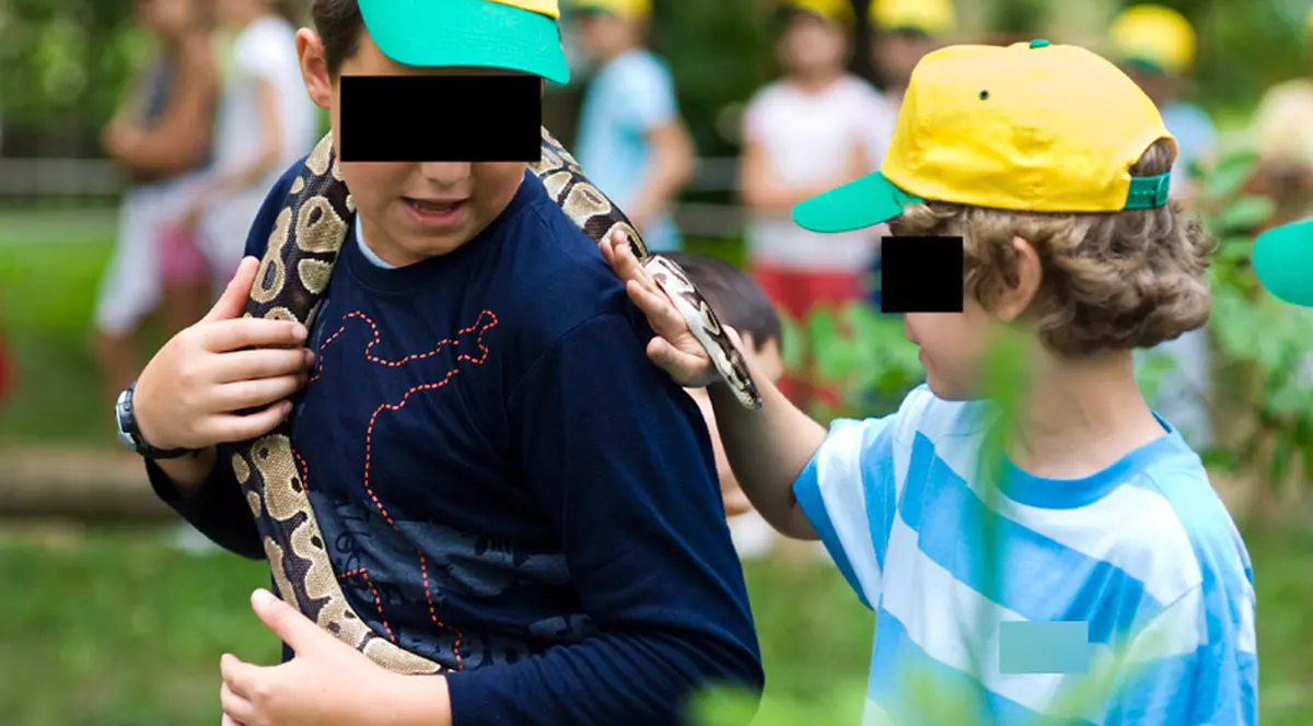 ŞOCANT | Doi copii ucişi de un piton scăpat dintr-un magazin de animale