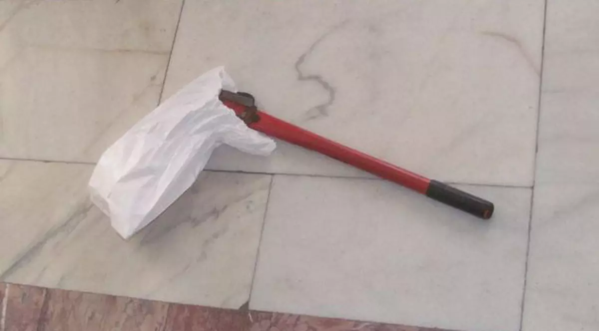 Fratele i-a înfipt o seceră în picior!