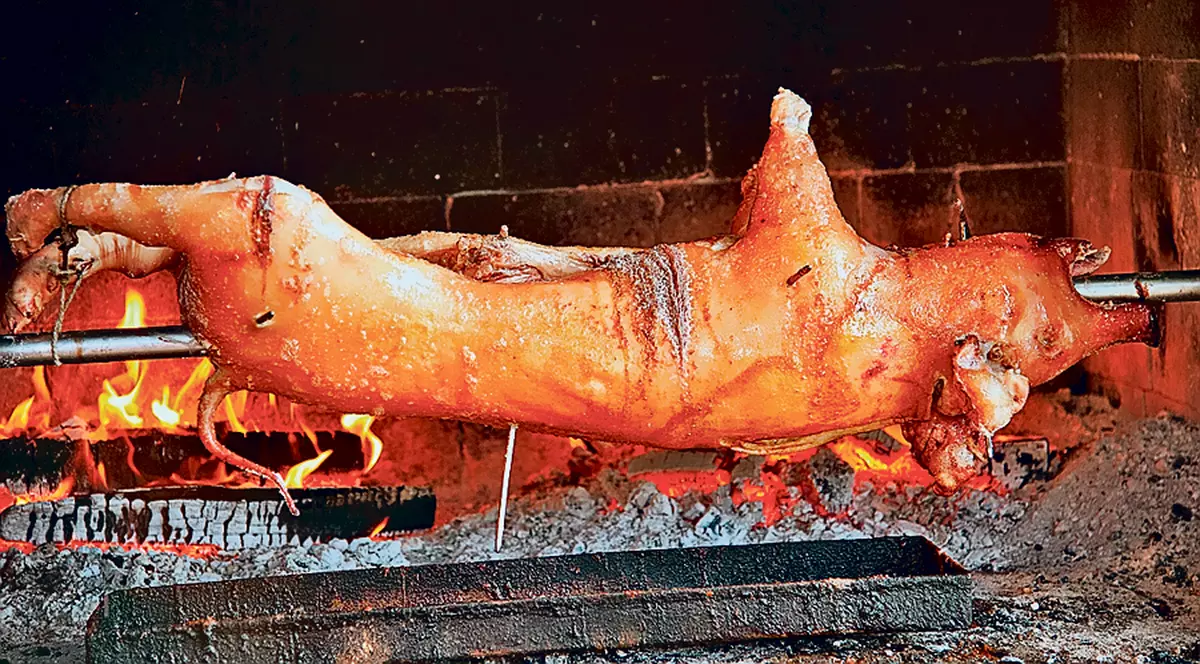 Comisia Roşia Montană «s-a luptat» cu purceluşi la proţap