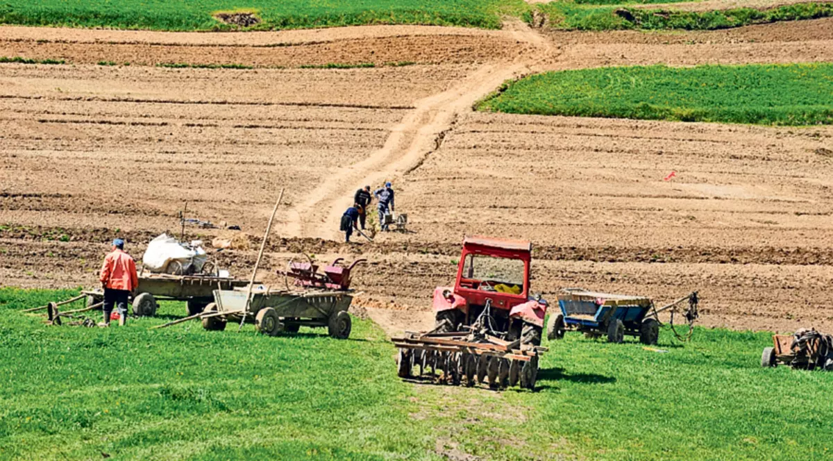 Din ciclul «Proprietatea este un moft»: terenurile agricole se vor vinde doar cu voia autorităţilor