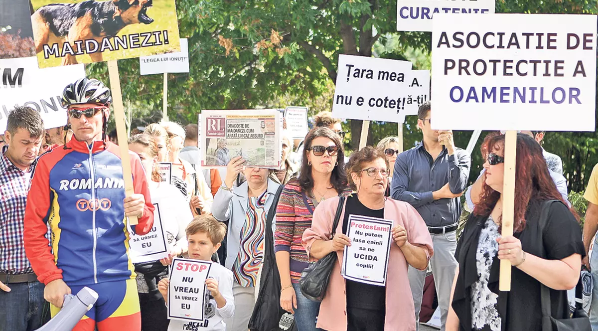 Șase posibili vinovați pentru moartea lui Ionuț, copilul ucis de câini