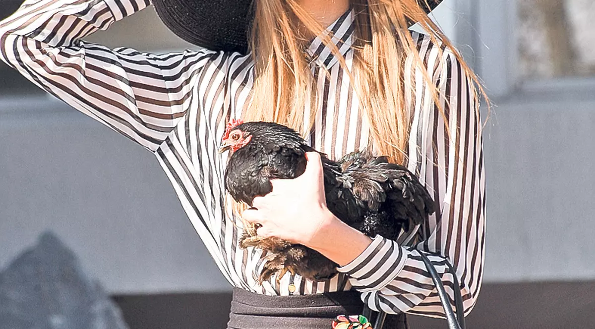 Iulia, ăstea nu-ți plac? Zeci de «moţate» din rase rare au fost scoase la vânzare în București