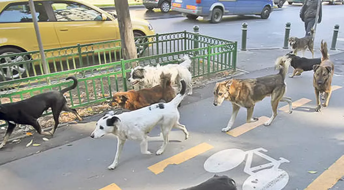 INCREDIBIL! Cât îi costă pe bucureşteni referendumul propus de Sorin Oprescu