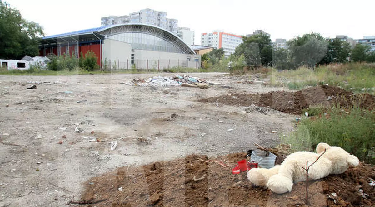 EXCLUSIV | RĂSTURNARE DE SITUAŢIE în cazul morţii lui Ionuţ! Ce spun veterinarii