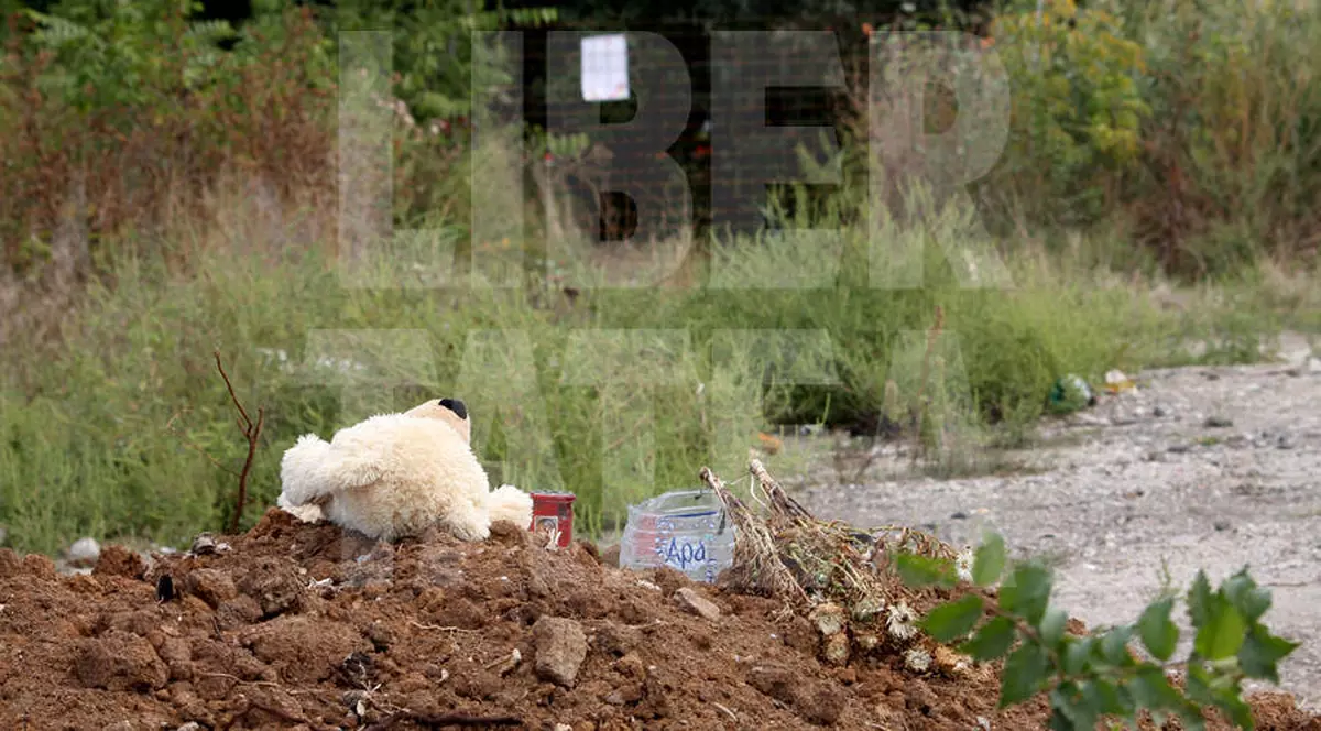 EXCLUSIV | NOI AMĂNUNTE INCREDIBILE despre câinele presupus de luptă, găsit în PARCUL TEI