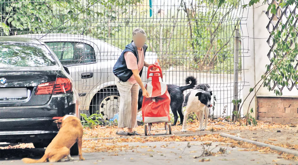 Maidanezii din "parcul groazei" sunt hrăniţi zilnic! FOTO