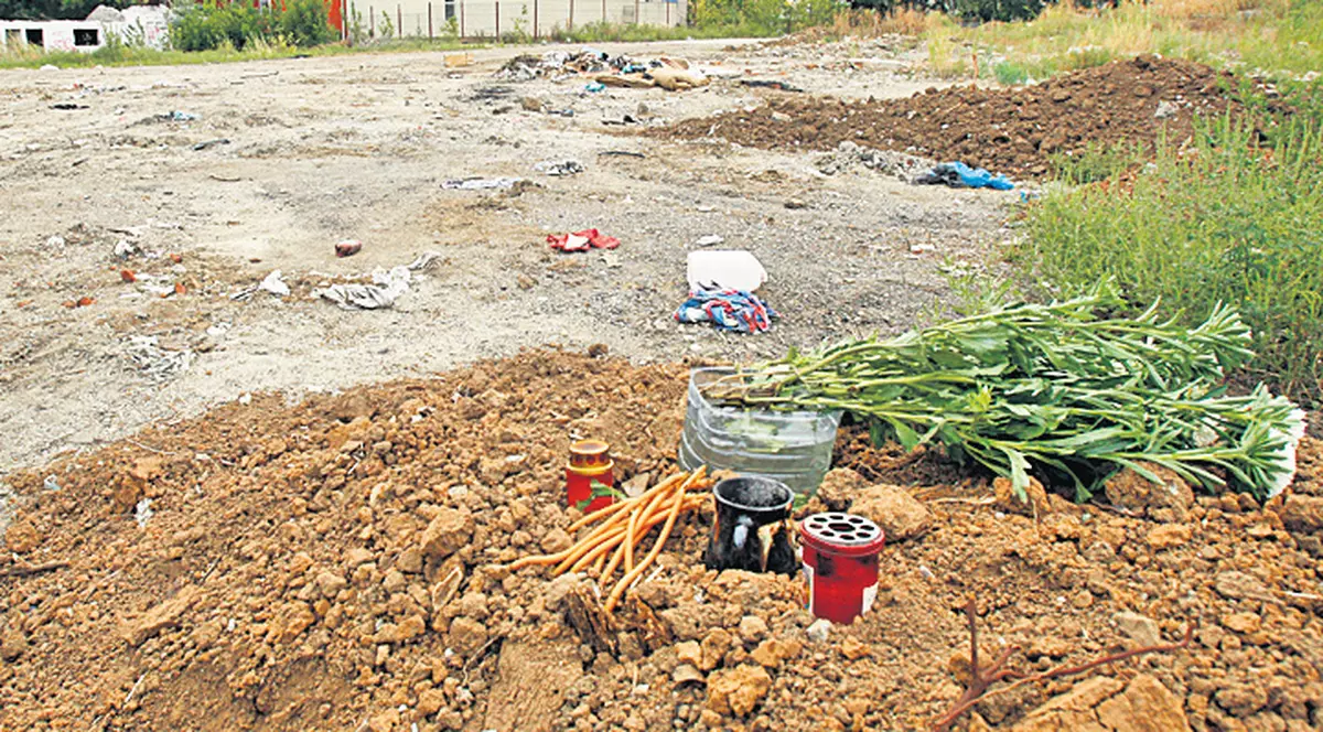 DERIZORIU. Uite CÂT COSTĂ VIAŢA BĂIEŢELULUI UCIS DE CÂINI