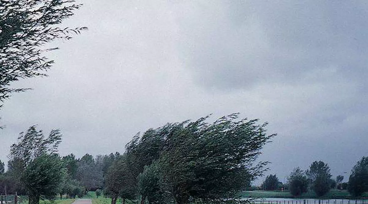 Cod galben de ploi și vijelii