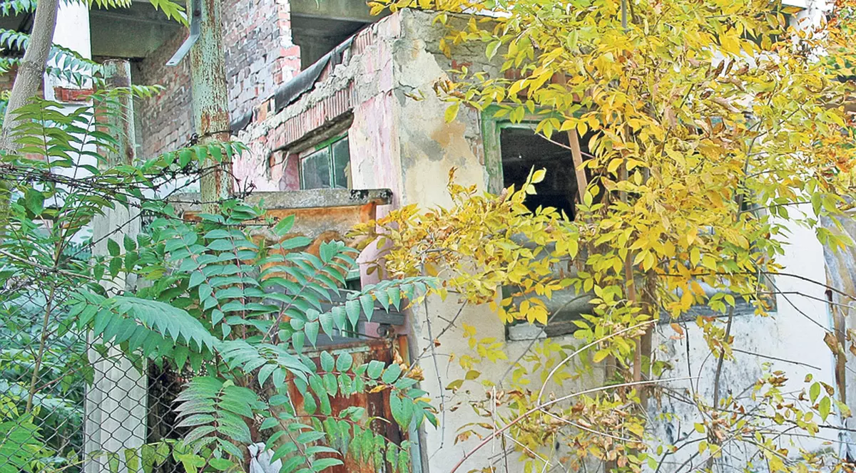 PRETENȚIILE HALUCINANTE ale unui clujean! Ce A CERUT el primarului ÎNTRECE IMAGINAȚIA