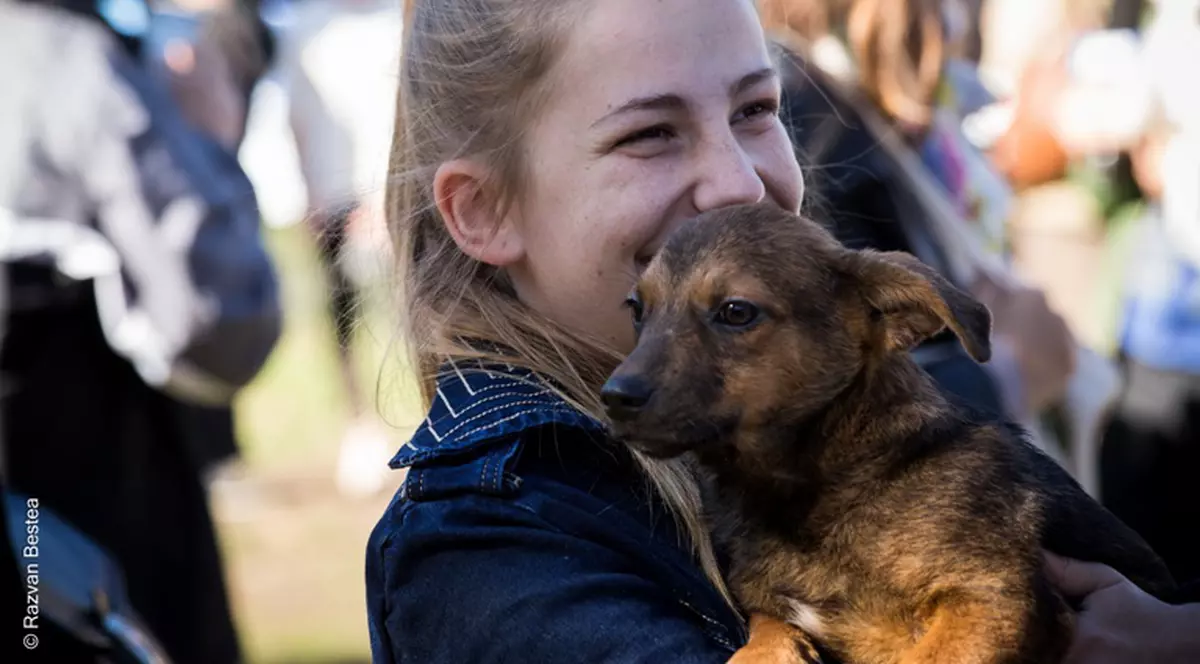 Donaţii de 5.000 de lei într-o singură zi pentru maidanezi