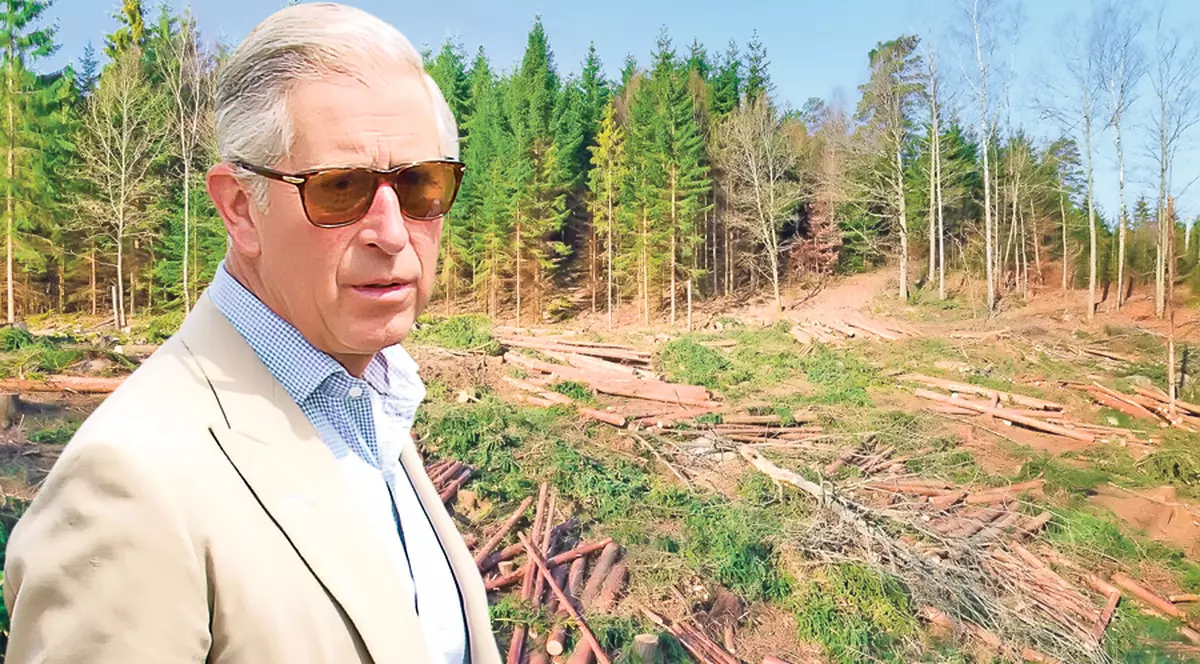 Prinţul Charles ne urechează! Moştenitorul tronului Marii Britanii spune că suntem nesăbuiţi şi tăiem copaci cu nemiluita
