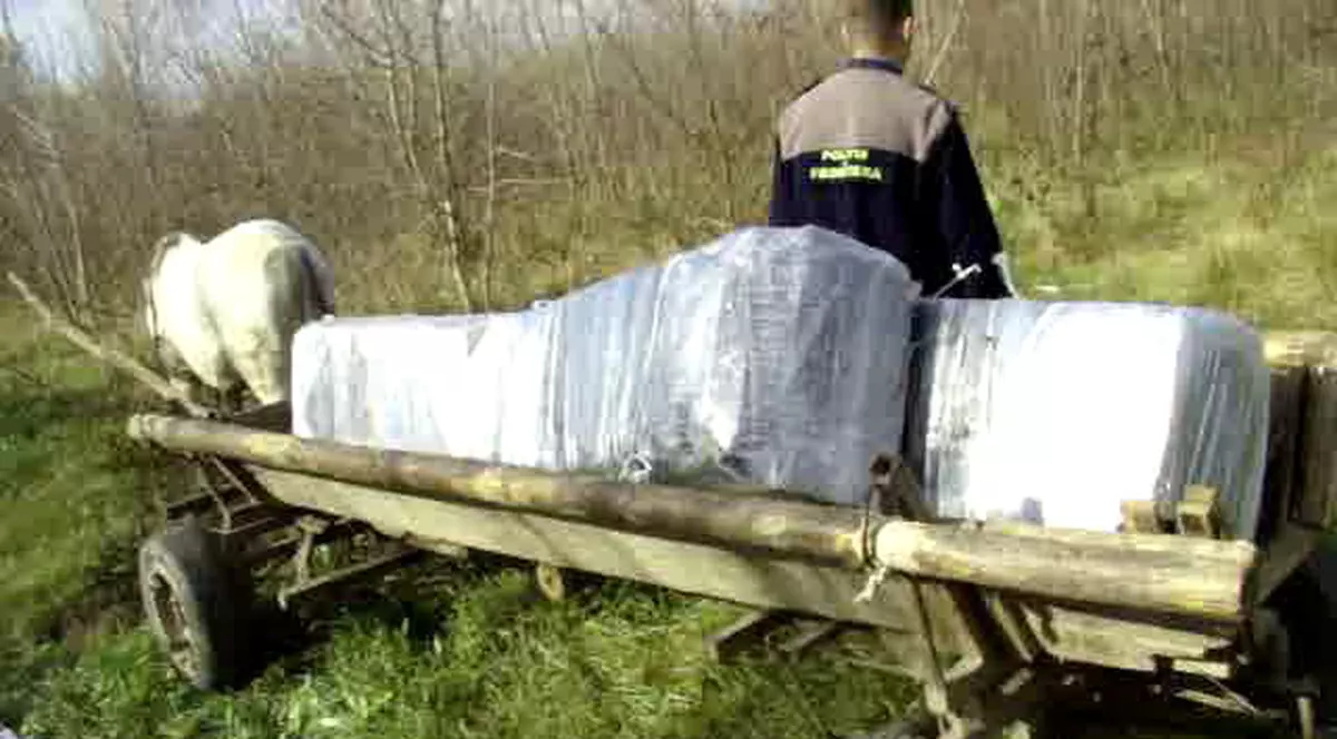 Ţigări de contrabandă în valoare de zeci de mii de lei, ascunse în căruţă