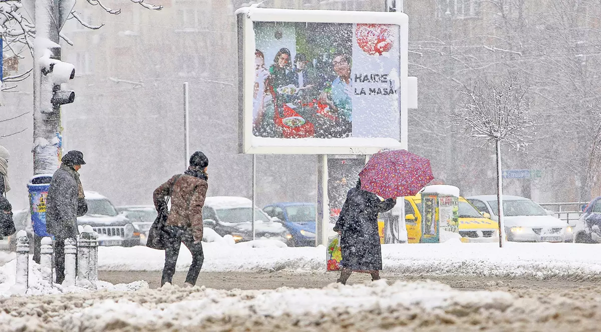Guvernul inventează geruri polare