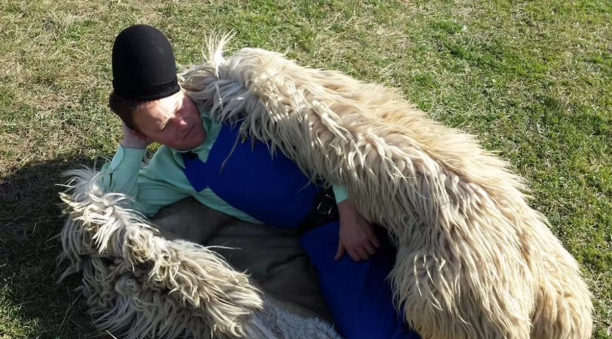 I S-A URCAT LA CLOP! Uite CE VREA Ciobanul Ghiţă