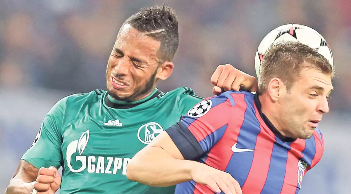 Steaua - Schalke | Învingeţi sau muriţi de ruşine