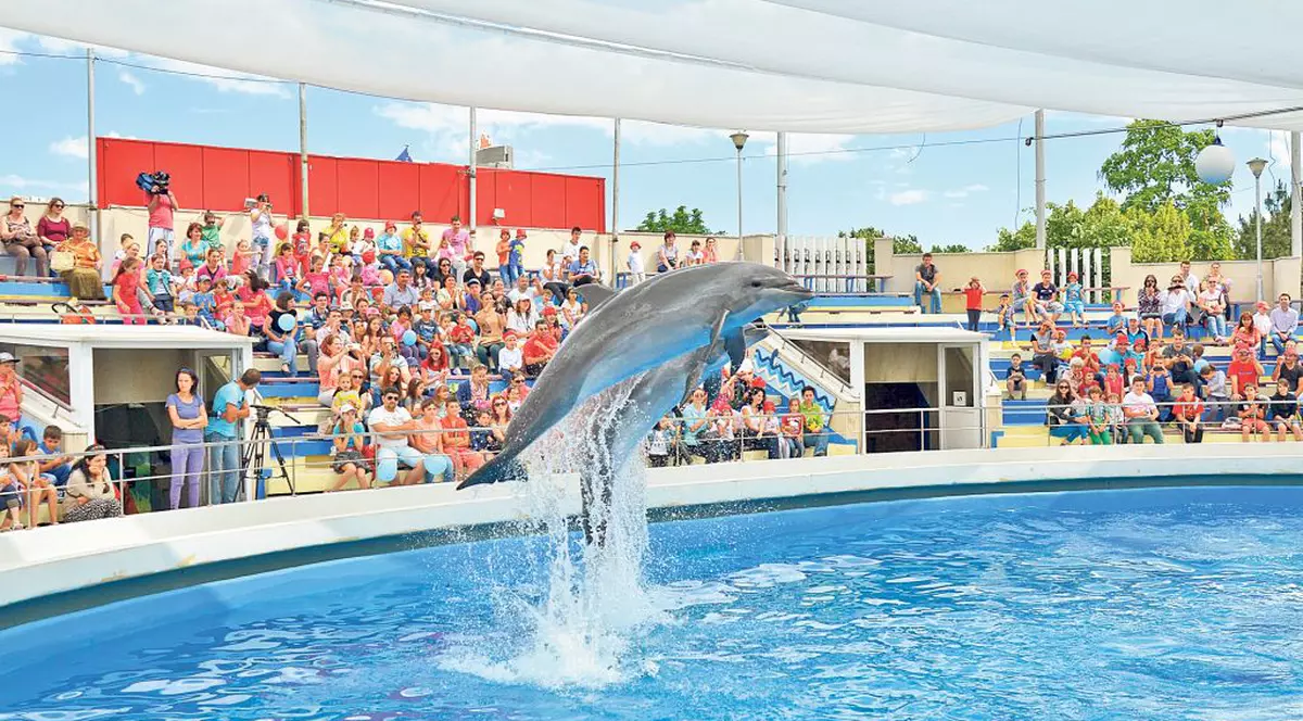 Se extinde Delfinariul!