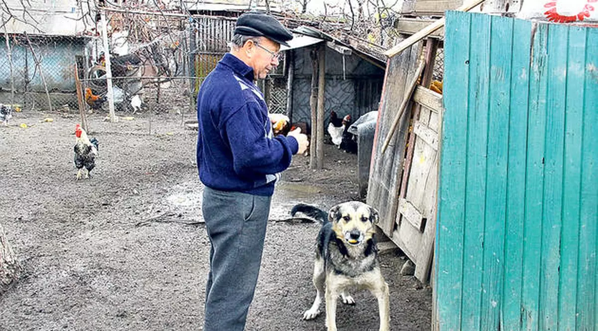 Toţi iubitorii de animale TREBUIE SĂ AFLE ASTA! Care ar putea fi preţul de pornire pentru microciparea câinilor?