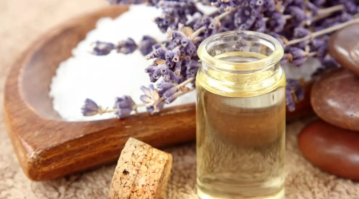 5 plante vindecatoare pe care trebuie sa le ai in casa