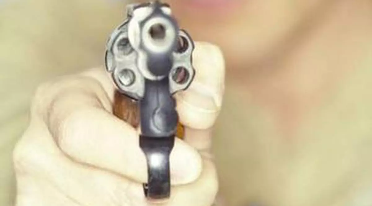 Vezi cum arată atacatorul din Băneasa! Poliţiştii au realizat portretul robot 