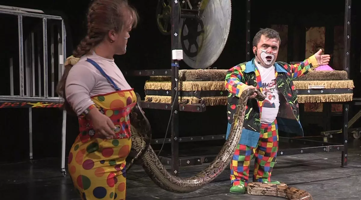 Şarpele boa Ionică şi crocodilul Georgică, în “vizită” la mall!