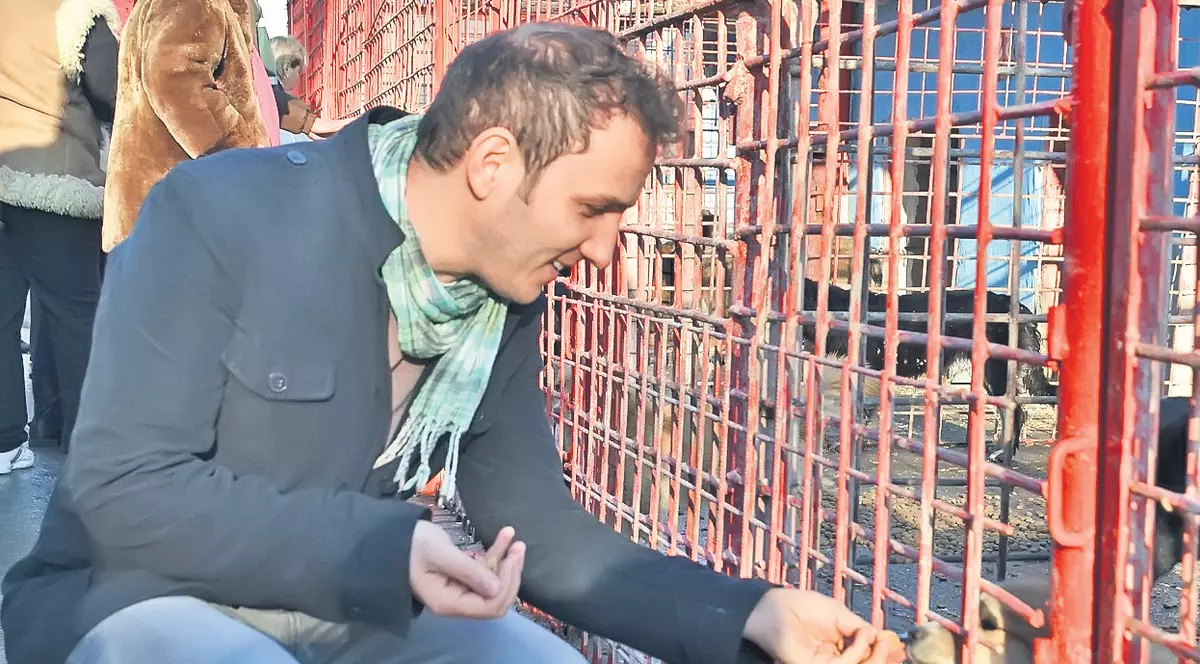 Trăistariu, Moş Crăciun pentru căţei | FOTO