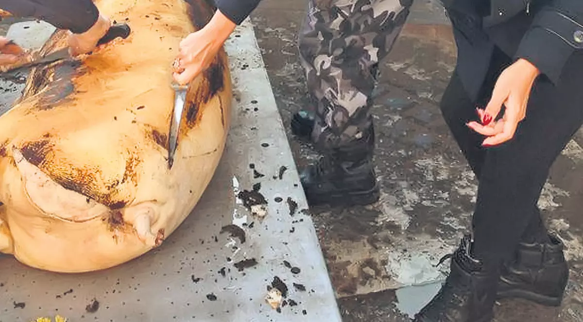 Imagini cu politicienii care au pus umărul la pregătirile de Crăciun