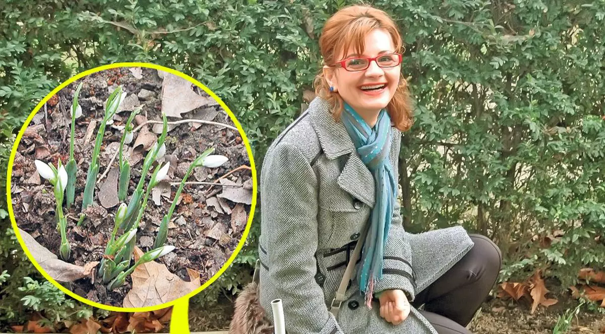 O fi bine, o fi rău? De Bobotează în loc de ger, avem... ghiocei!