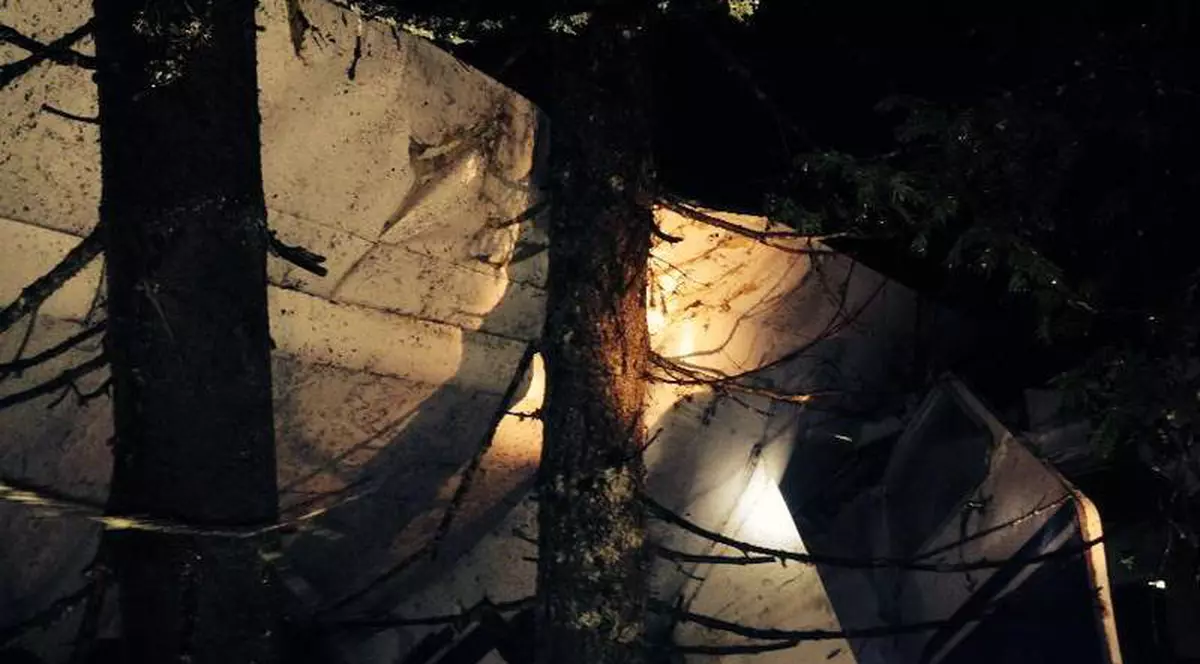 MĂRTURIA UNUIA DINTRE SUPRAVIEŢUITORII accidentului aviatic din Apuseni!