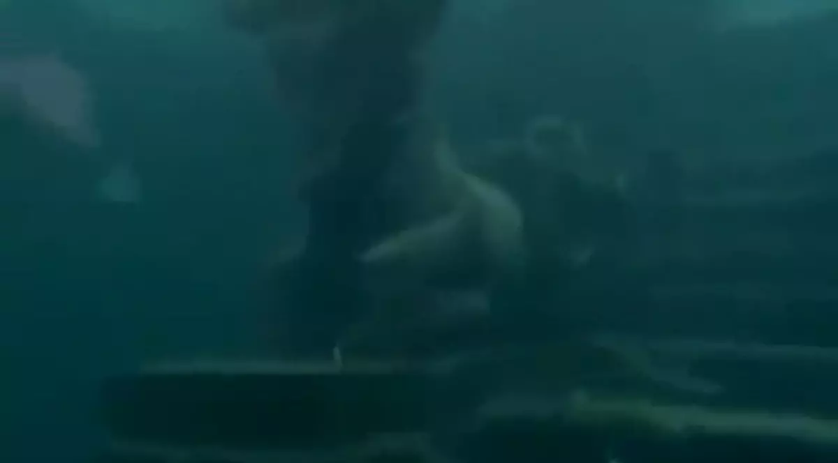 DESCOPERIRE ULUITOARE în MAREA BALTICĂ! Cercetătorii au GĂSIT RELICVE ce datează din EPOCA DE PIATRĂ