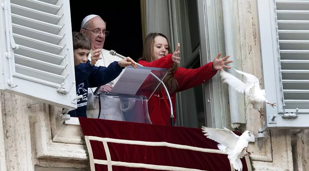 Porumbeii PAPEI FRANCISC, ATACAŢI! Vezi ce s-a întâmplat cu ei! | VIDEO