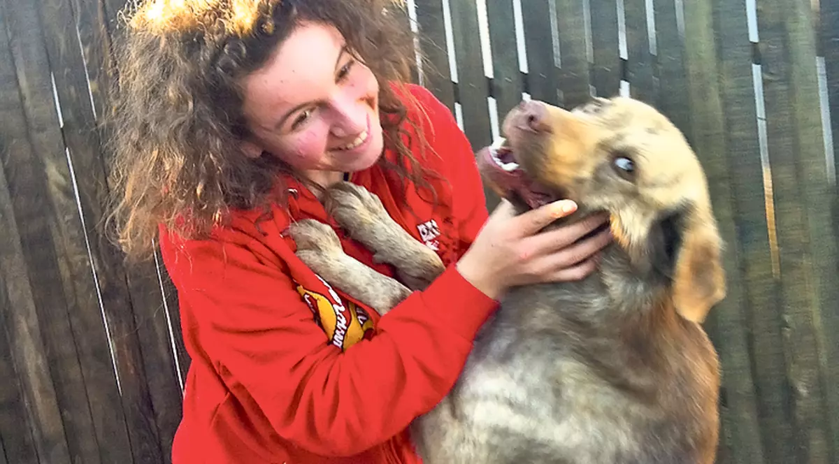 O tânără din Argeş plăteşte pentru un maidanez 77 de lei lunar ca să nu fie ucis