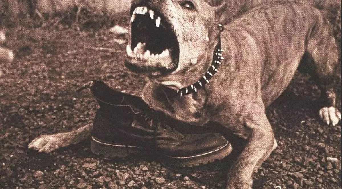 Şocant! Bebeluş de 11 luni, sfâşiat de un pitbull 