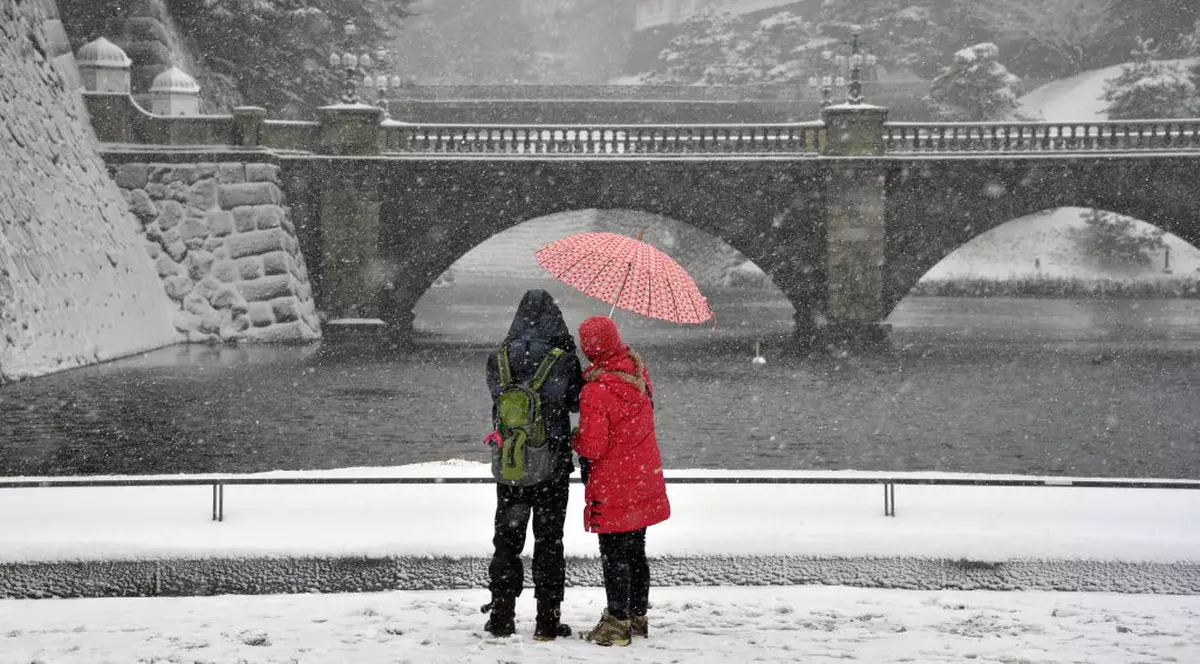 Ninsori fără precedent în Japonia! Cel puţin 19 oameni au murit 