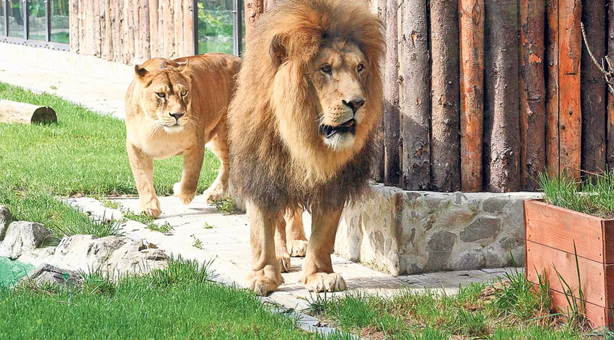 Zoo Băneasa se va extinde