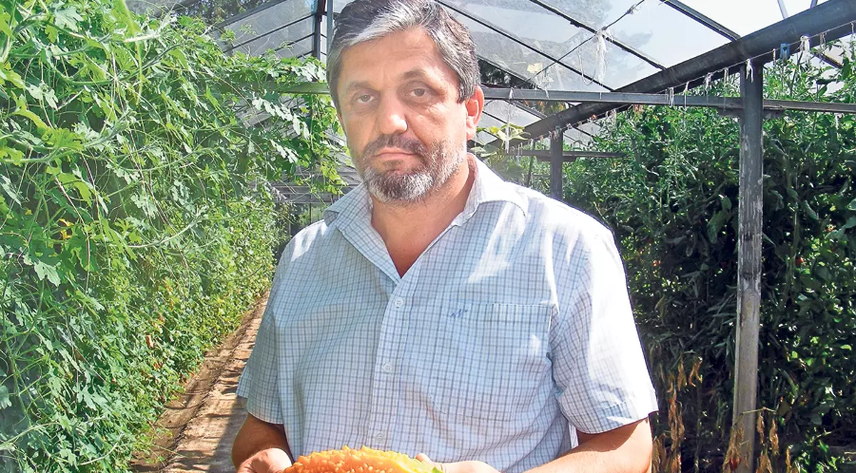 Am prins GUSTUL legumelor SF!