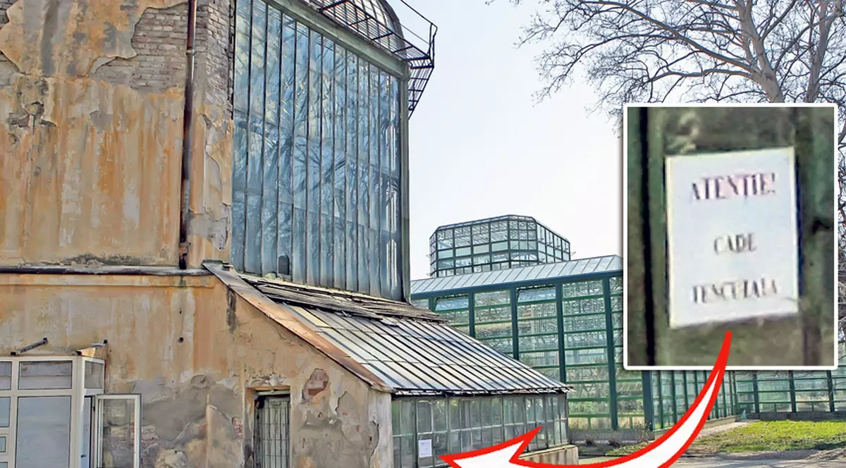 Serele Grădinii Botanice, în pericol de prăbuşire! GALERIE FOTO