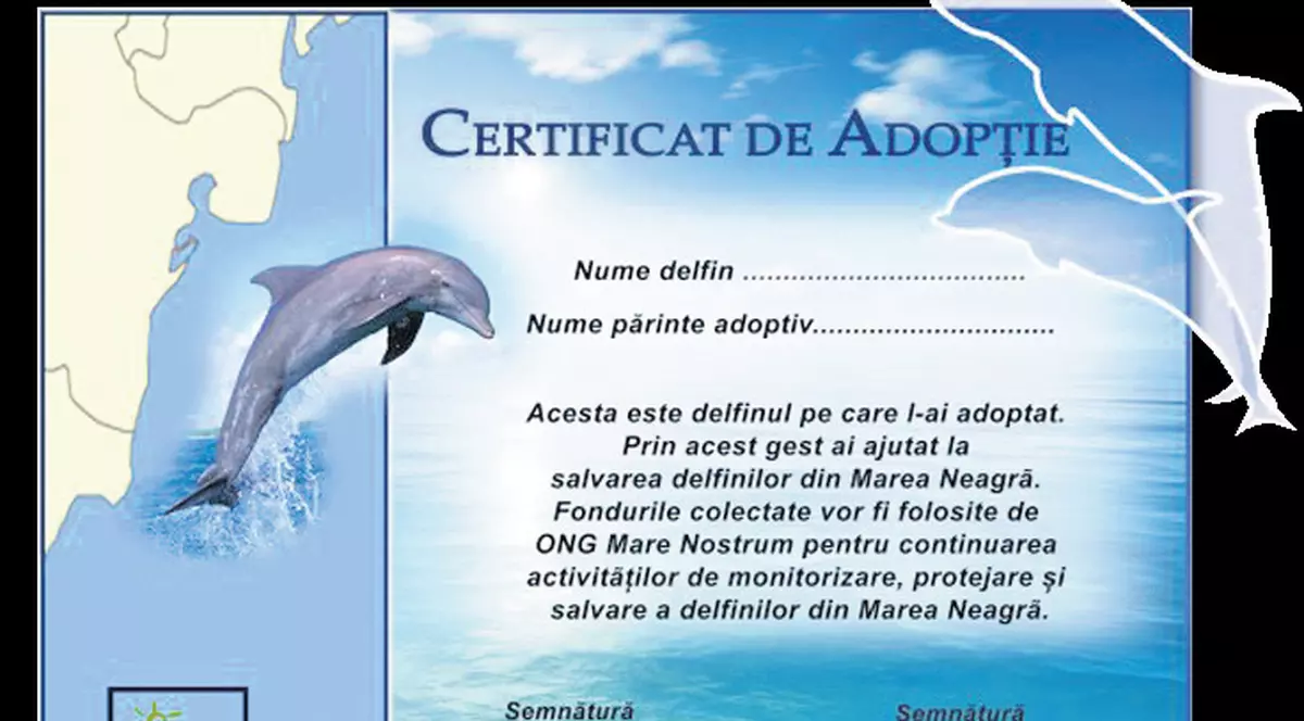 Vrei să adopţi un delfin?