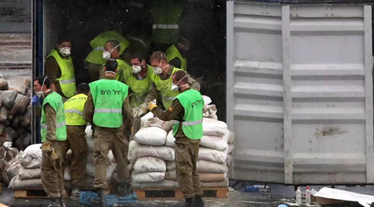 De foame, sirienii mănâncă pisici și câini