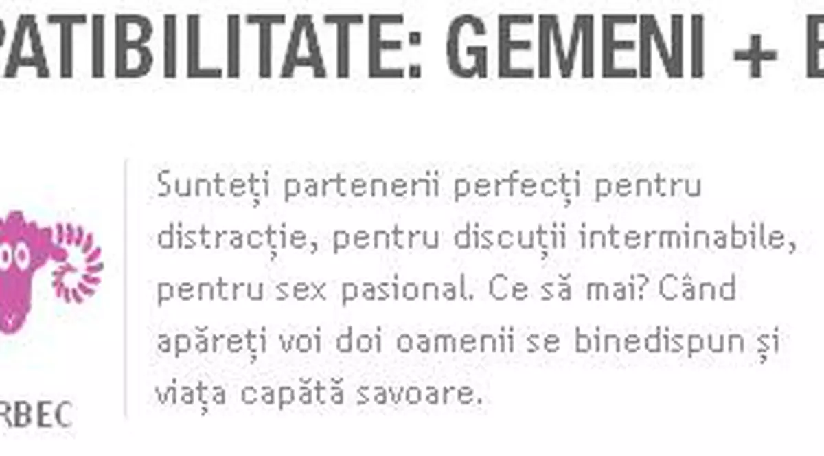 Test de compatibilitate: Gemeni + Berbec