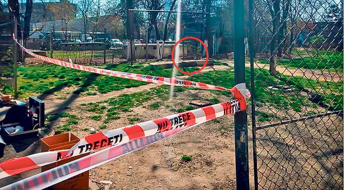 UPDATE. Legiştii AU FINALIZAT AUTOPSIA FEMEII moarte la Obor. MUŞCĂTURILE de câini NU AU CAUZAT DECESUL. CE A UCIS-o pe FEMEIE?