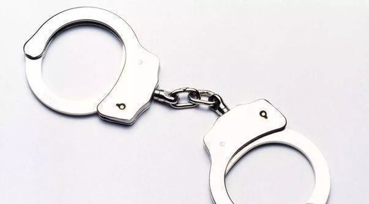 Adrian Duicu, preşedintele Consiliului Judeţean Mehedinţi, arestat pentru 30 de zile 