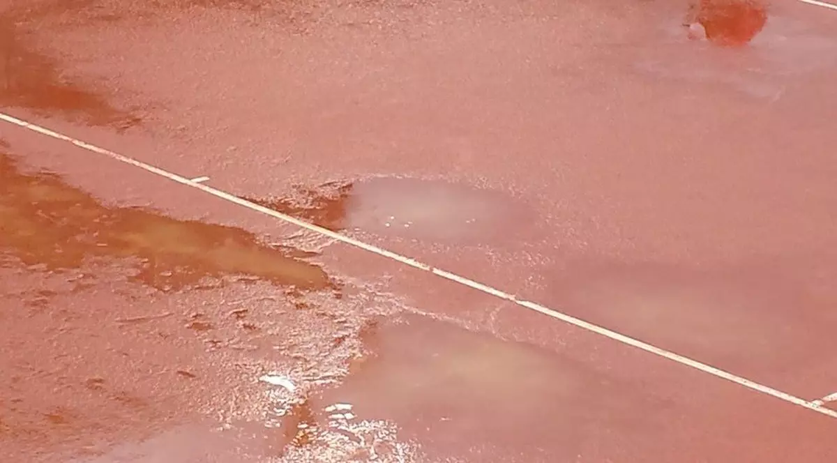 Ploaia a amânat meciurile la Năstase Ţiriac Trophy. Meciul lui Ungur începe la 15.30