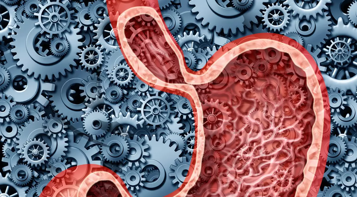 Cartoful crud: Ce conţine şi ce beneficii are pentru organism