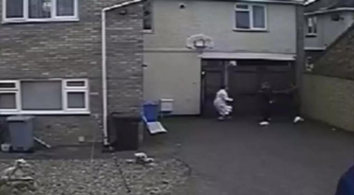 Doi spărgători de locuinţe, înfruntaţi de o femeie de 56 de ani | VIDEO 