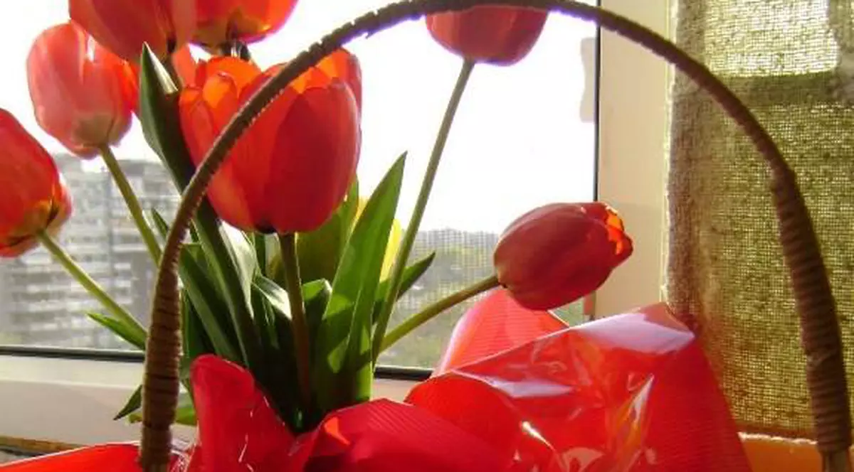 OUĂLE VOPSITE DE PAŞTE. Uite CE SIMBOLIZEAZĂ şi care e LEGENDA acestora