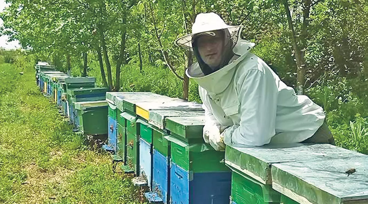 Se scumpeşte MIEREA naturală