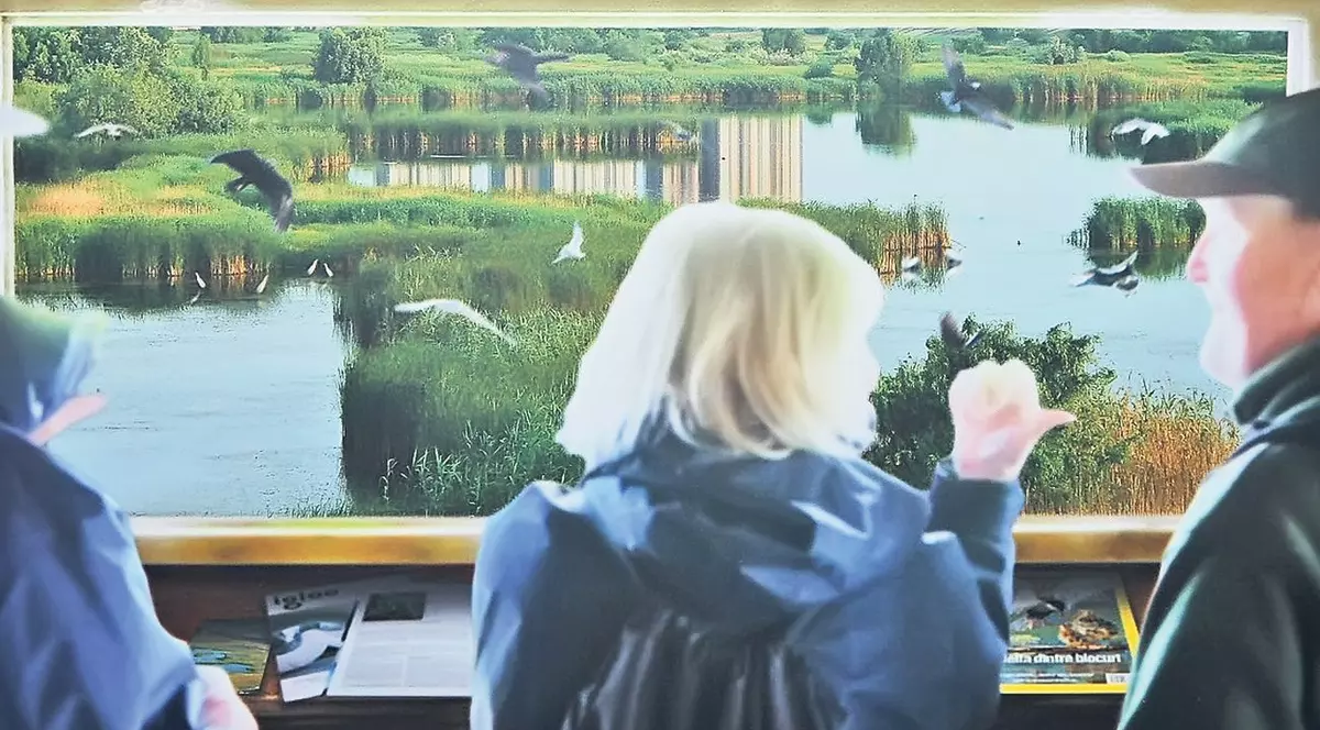 Vor să facă «ascunzători» în Delta Capitalei