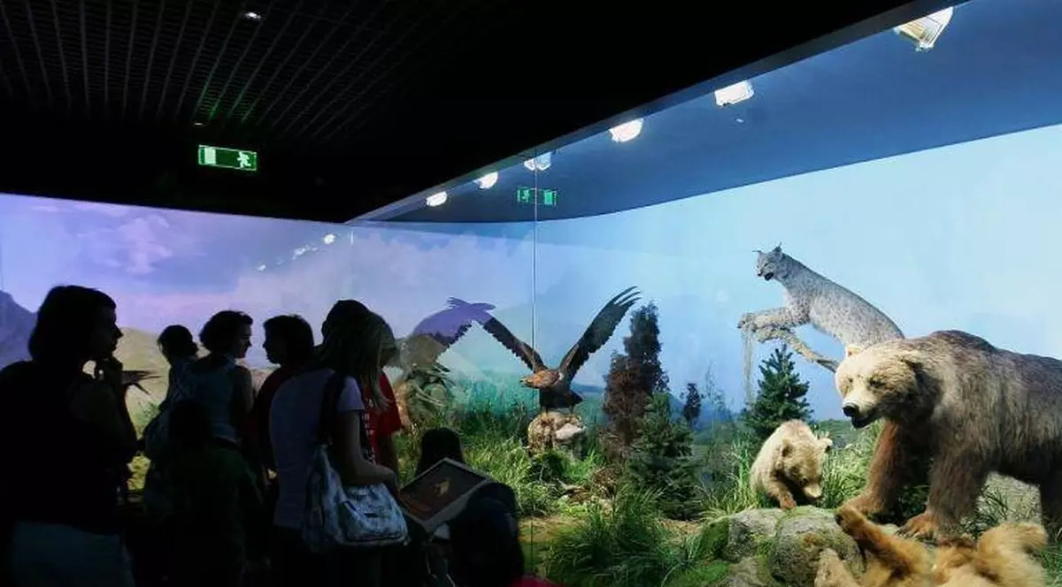 NOAPTEA MUZEELOR 2014| Uite ce poţi VIZITA şi care va fi PROGRAMUL RATB